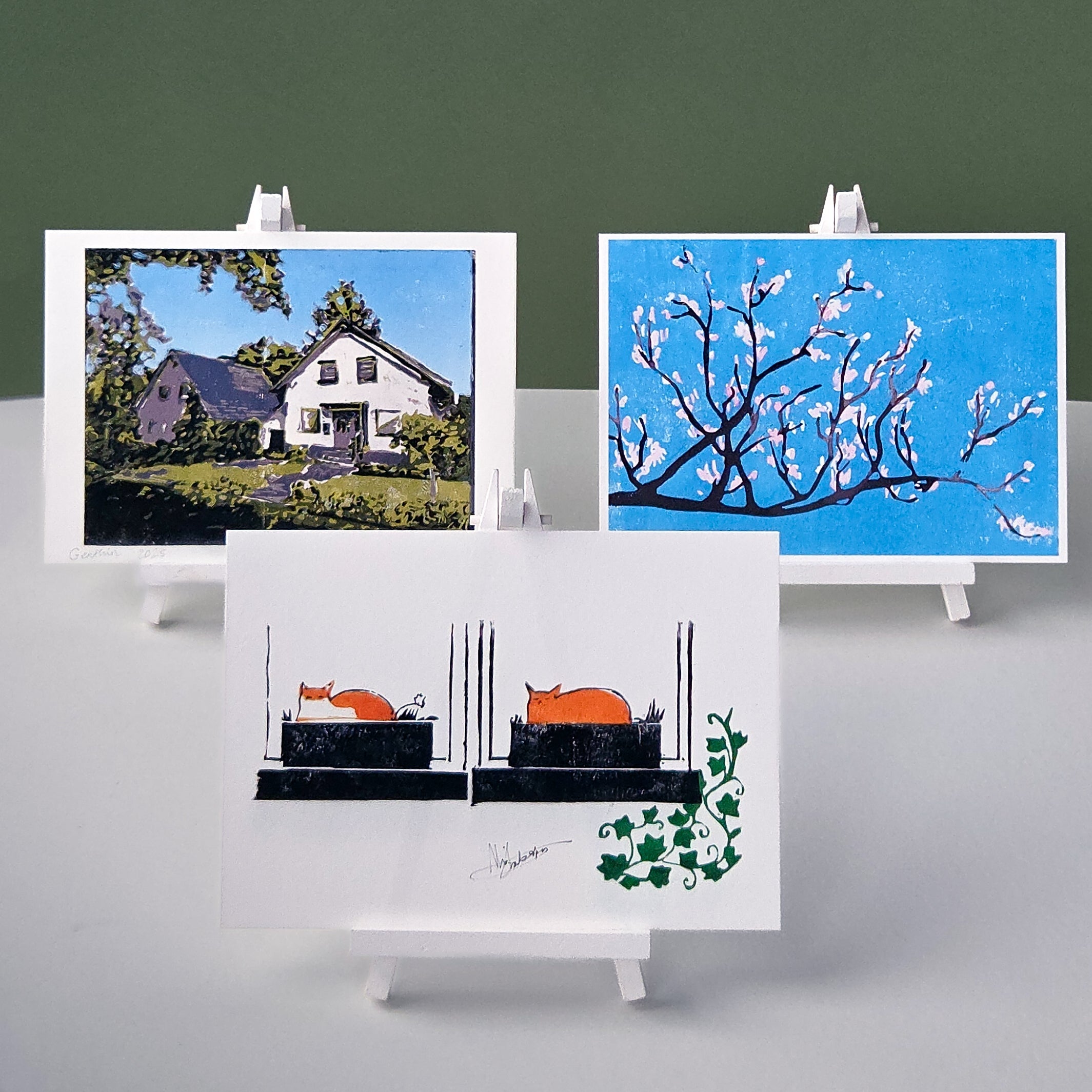Illustrations by Ali