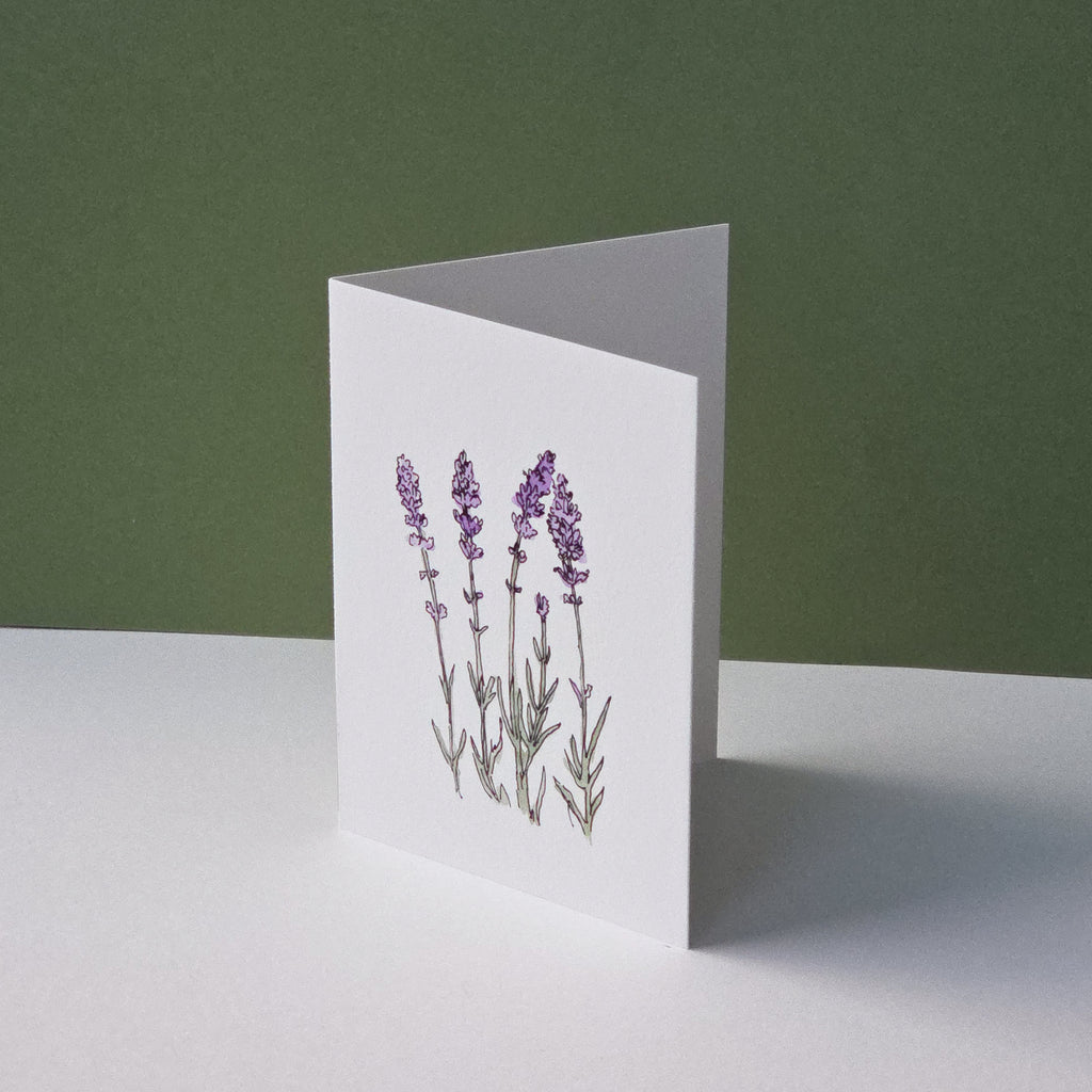 Lavender