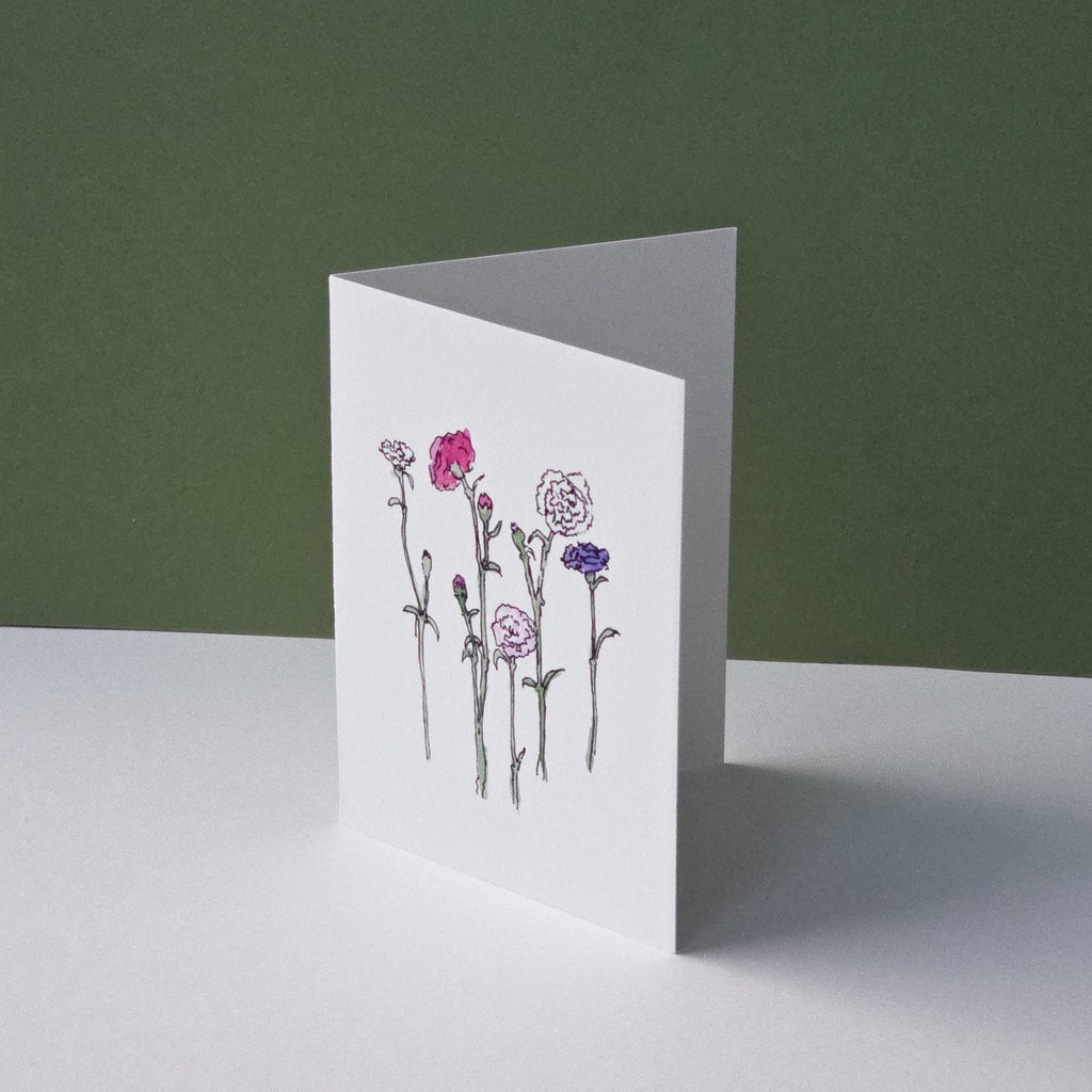 Carnations