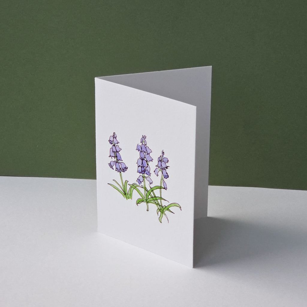 Bluebell