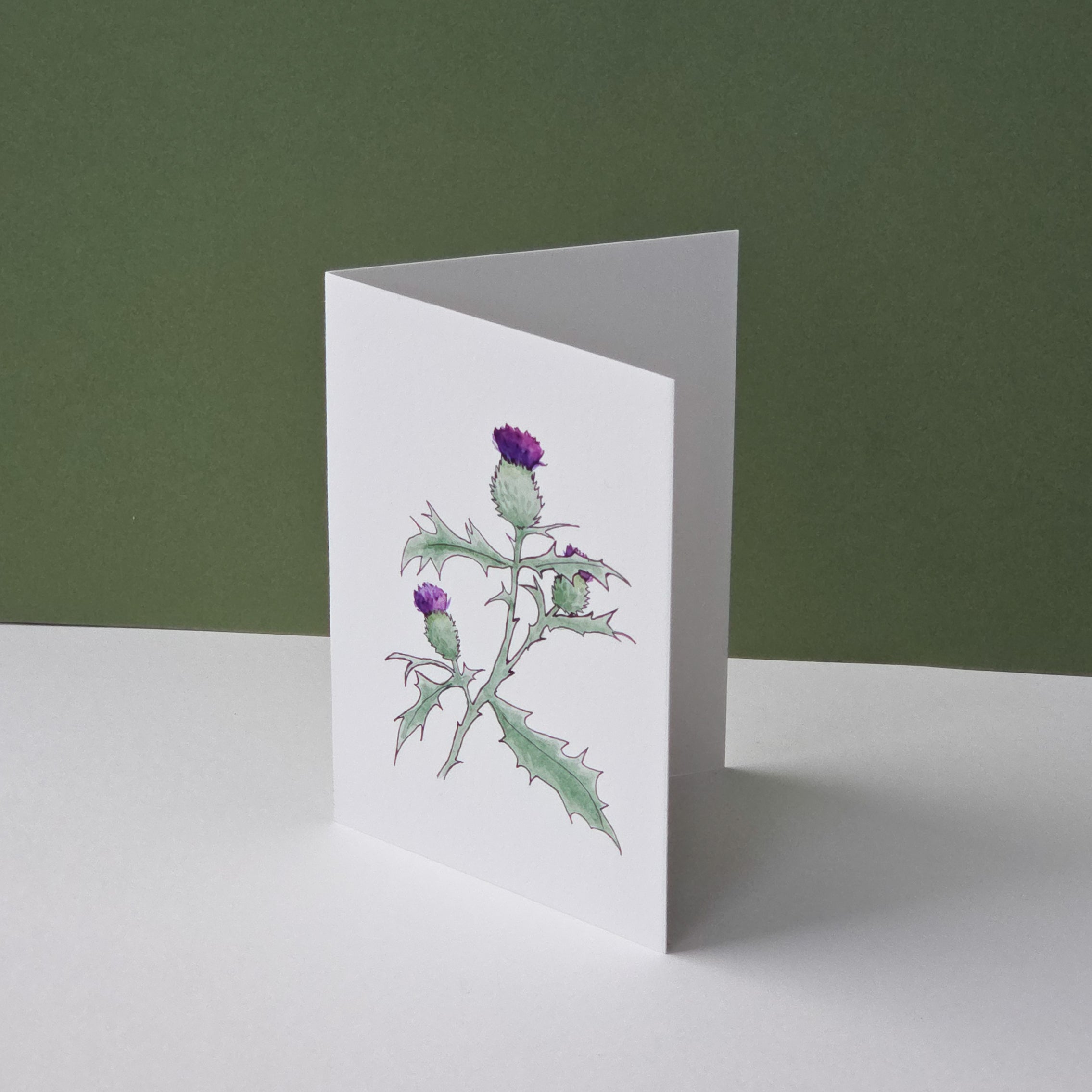 Flower of Scotland (thistle)