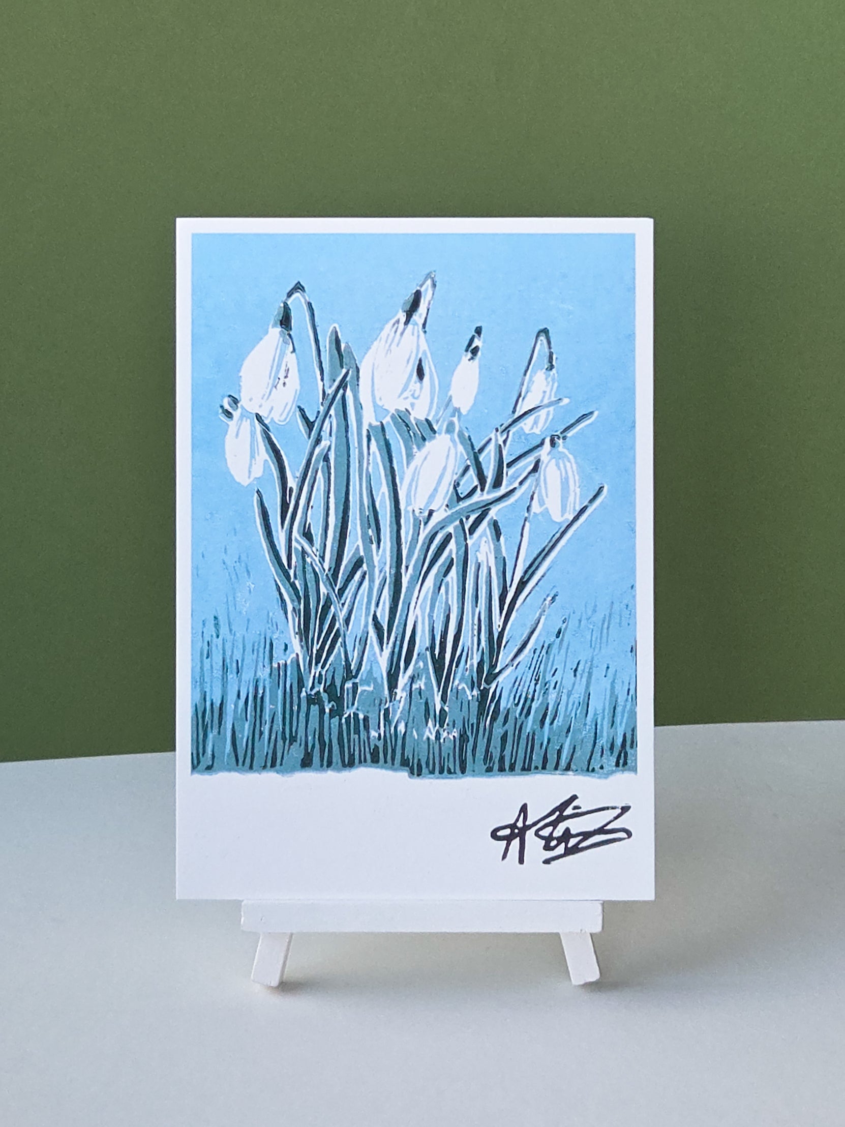 snowdrops of spring