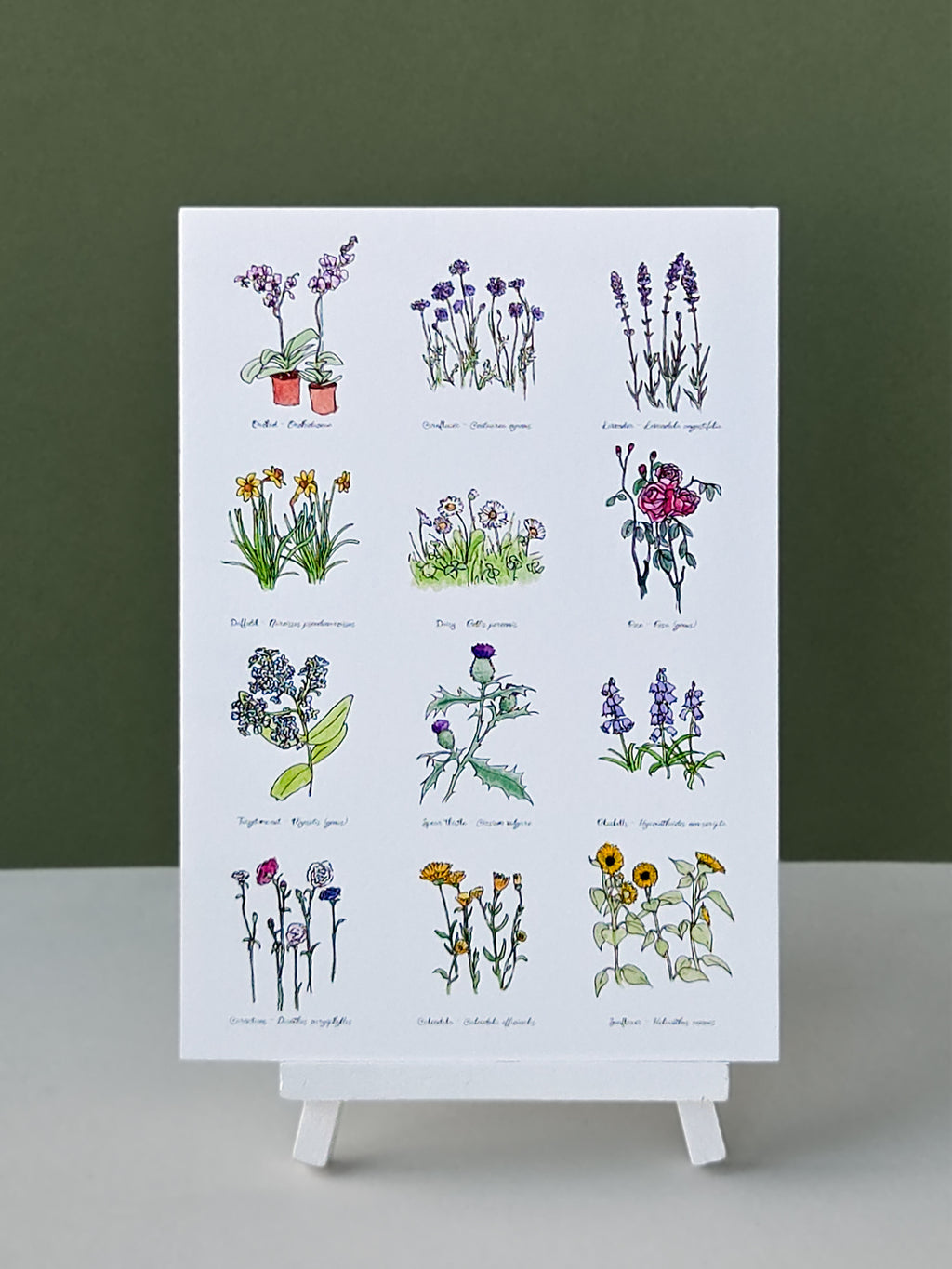 floral collection Print