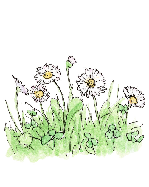 Illustration of flowers and grass on a white background