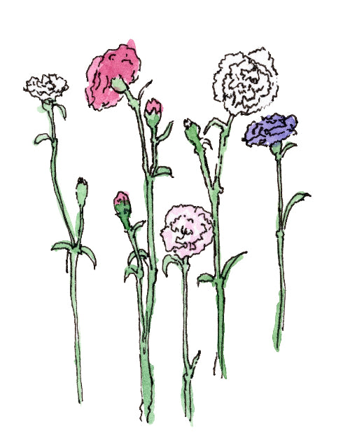 Illustration of various colour flowers with green stems on a white background