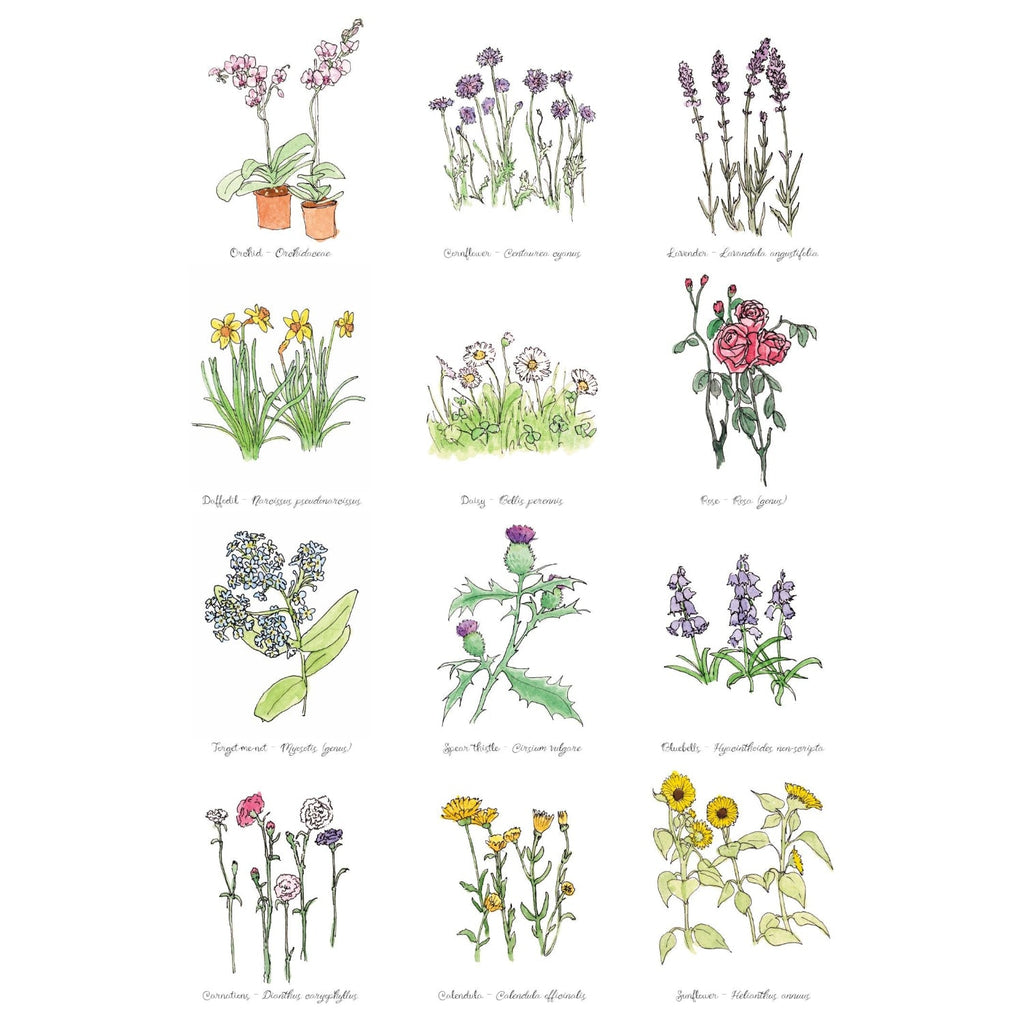 floral collection Print